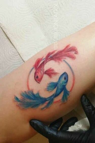 hình xăm đôi cá chép xanh đỏ bơi ngược chiều