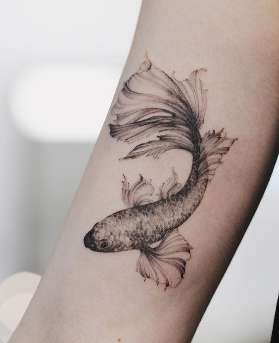 tattoo cá chép đơn sắc ở bắp tay