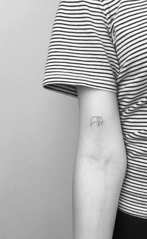 tattoo voi mini siêu nhỏ ở bắp tay