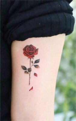 Hình xăm hoa hồng đỏ tinh tế