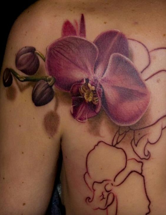 Tattoo hoa sau lưng êm đềm