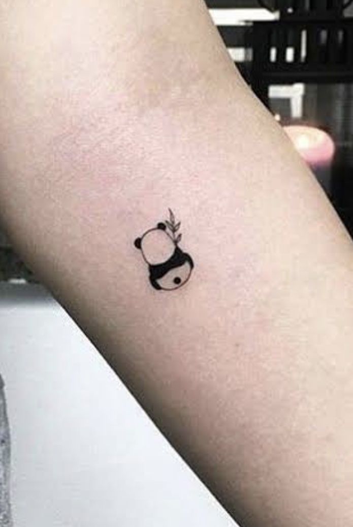 gấu trúc mini hờn dỗi gấu trúc mini hờn dỗi