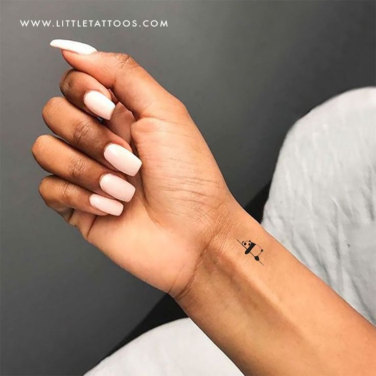 gấu trúc mini lười biếng siêu cute ở cổ tay gấu trúc mini lười biếng siêu cute ở cổ tay