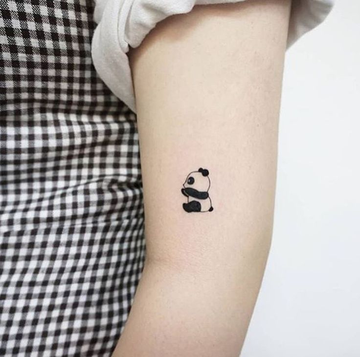 gấu trúc mini siêu đáng yêu gấu trúc mini siêu đáng yêu
