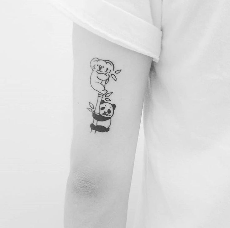 gấu trúc và chuột chũi mini siêu phá phách gấu trúc và chuột chũi mini siêu phá phách