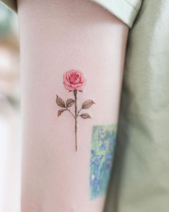 mẫu tattoo cành hồng cực đẹp cho nữ ở bắp tay