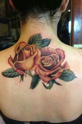 Hình xăm hai hoa hồng và lá sau lưng cho nữ