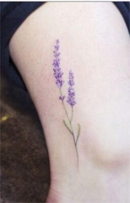 hình xăm hoa lavender tinh tê ở chân