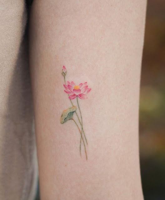 hình xăm hoa sen màu đỏ nổi bật