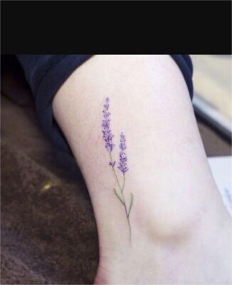 hình xăm lavender nhỏ xinh