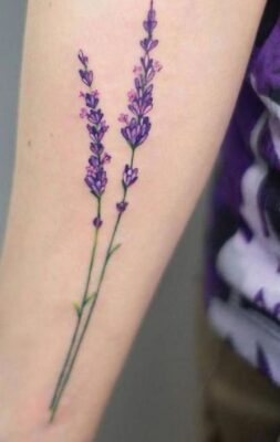 hình xăm hoa lavender cực cute