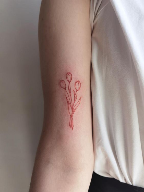 hoa tulip được vẽ bằng nét mực đỏ