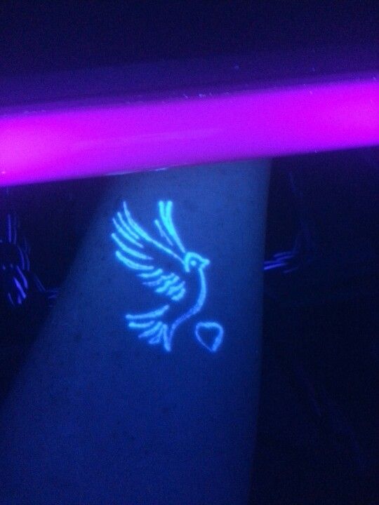 khát vọng chinh phục ước mơ