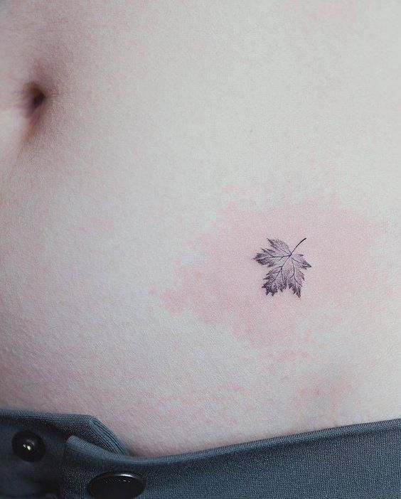 mẫu tattoo chiếc lá phong mini trên bụng