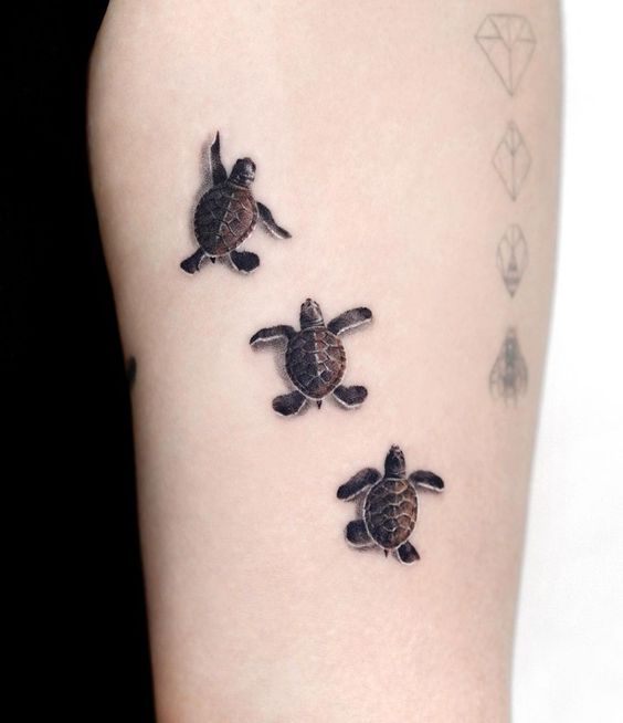 mẫu tattoo đàn rùa con mini đáng yêu