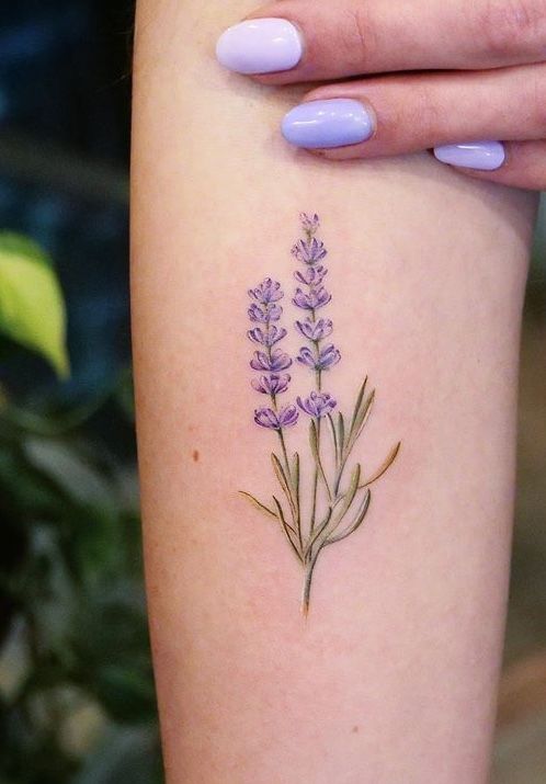 mẫu tattoo lavender cực đẹp trên tay