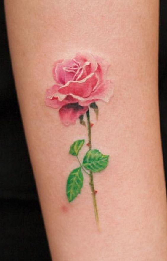 mẫu tattoo cành hồng đẹp cho nữ