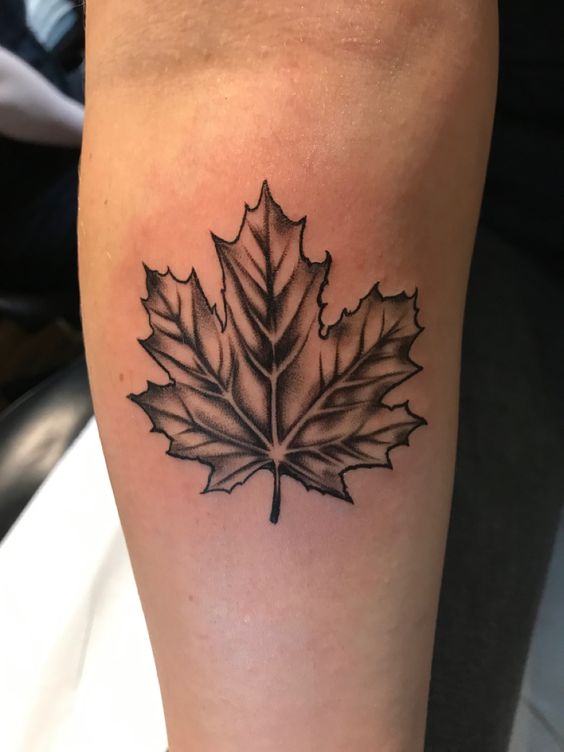 mẫu tattoo lá phong đen trắng