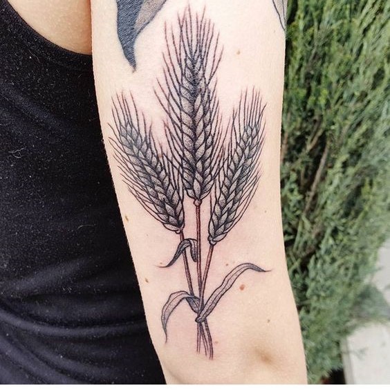 Nghệ thuật phun xăm bông lúa độc đáo