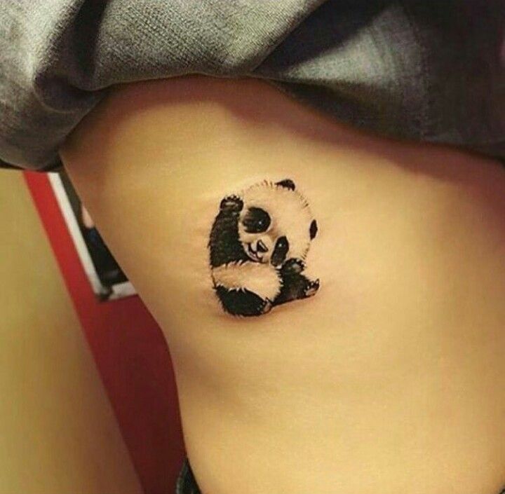 panda mini làm nũng ở sườn panda mini làm nũng ở sườn