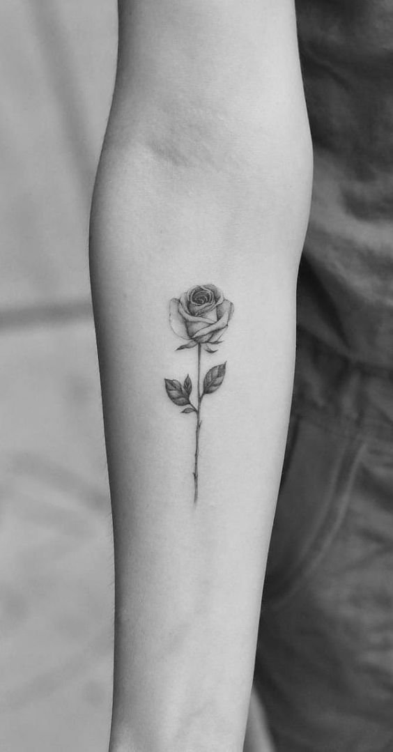 tatto hoa hồng đen mini phía trước cánh tay đẹp