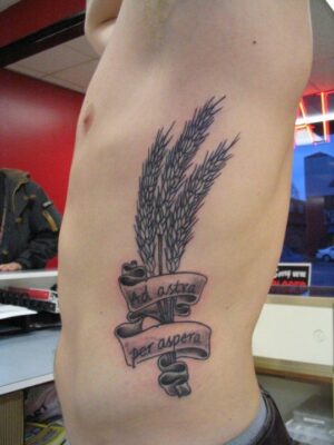 Tattoo bó lúa kèm chữ