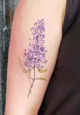 tattoo cây hoa lavender siêu độc đáo