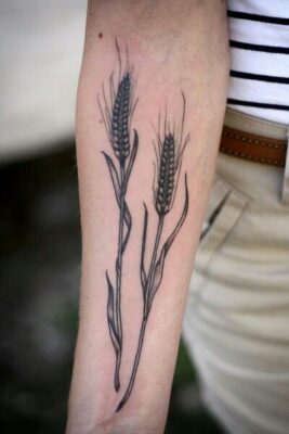 Tattoo hai cây lúa nghệ thuật