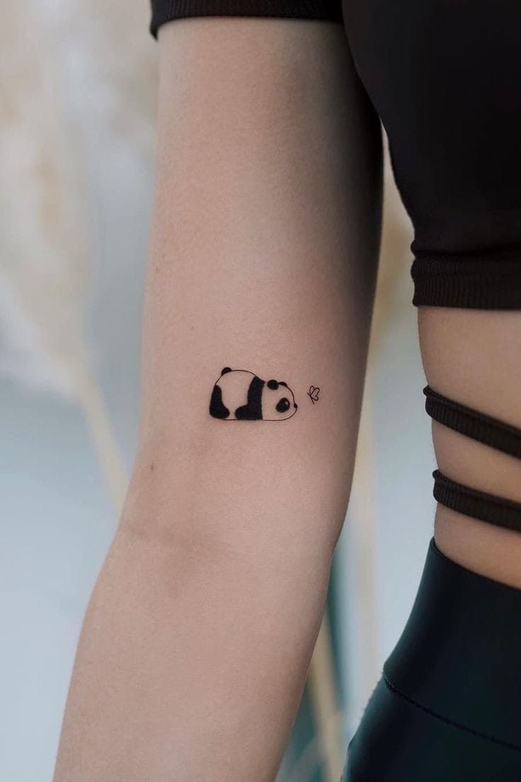 xăm gấu trúc mini buồn ngủ ở bắp tay nữ xăm gấu trúc mini buồn ngủ ở bắp tay nữ