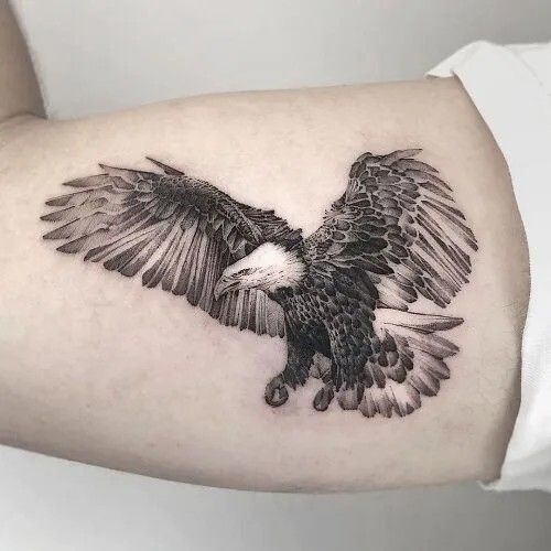 chiêm ngưỡng mẫu tattoo đại bàng cực đẹp