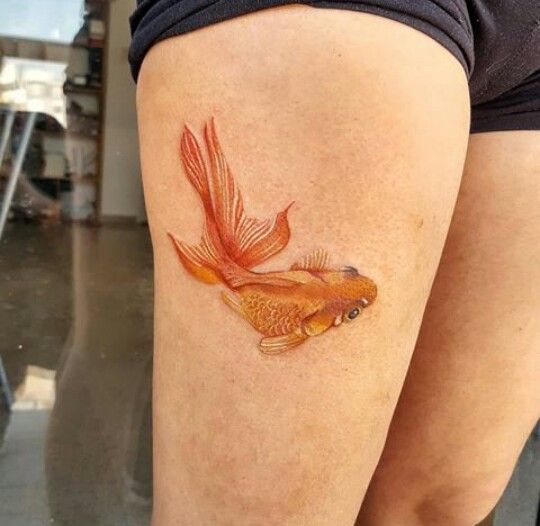 hình tattoo cá vàng ở bắp chân