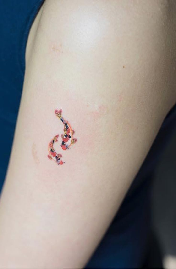 hình tattoo con cá mini siêu đẹp