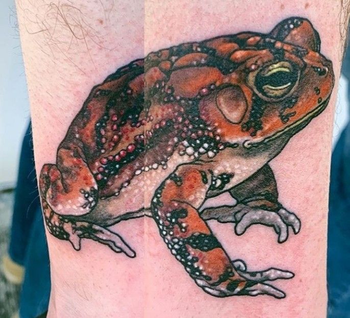 hình tattoo ếch chi tiết ghê rơn