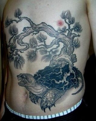 không thể rời mắt với kiểu tattoo rùa kín bụng