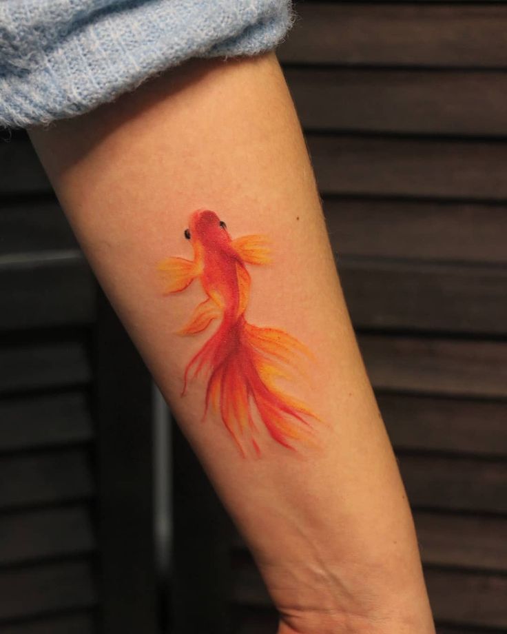 lấy ý tưởng từ cá cảnh để có mẫu tattoo cực đẹp