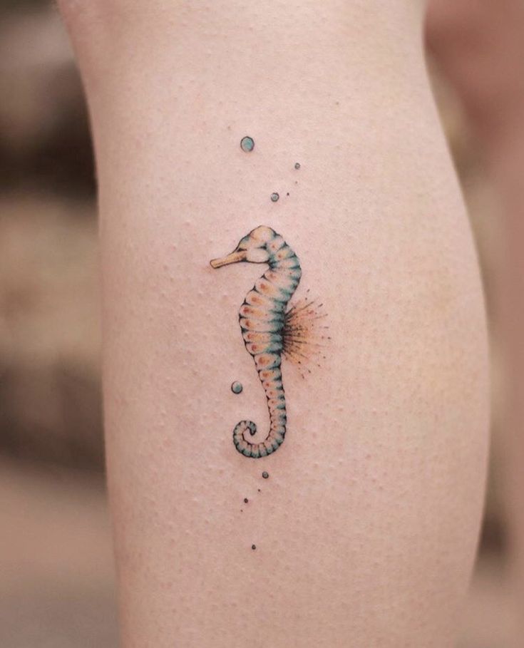 mẫu tattoo cá ngựa mini đẹp