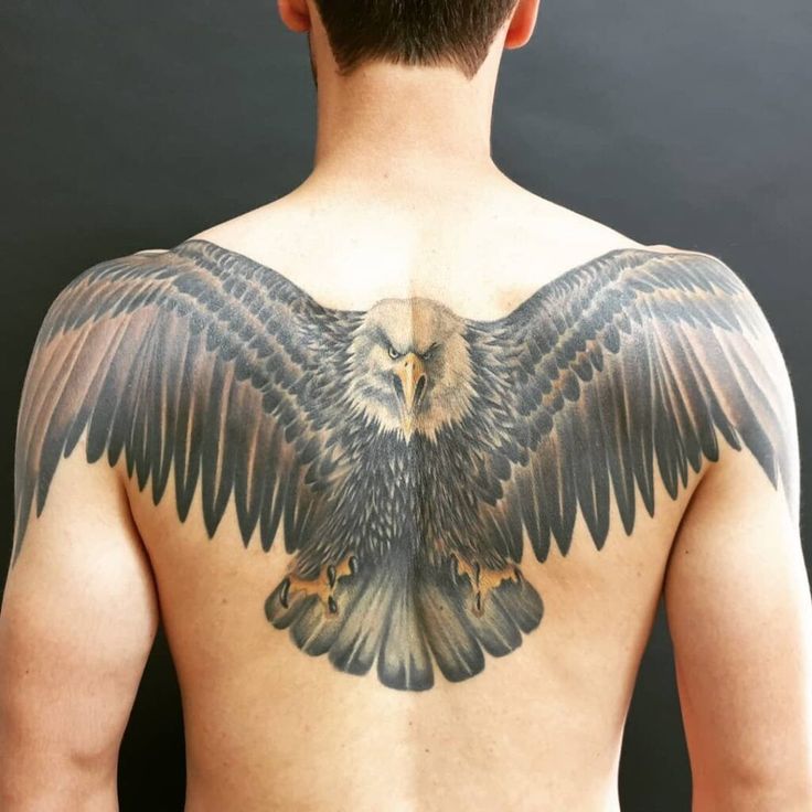 mẫu tattoo chim đại bàng cho nam sau lưng