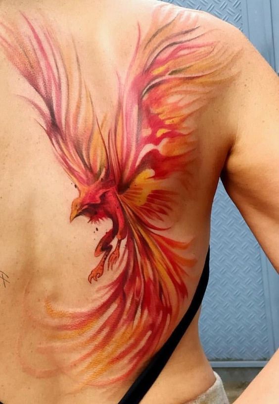 mẫu tattoo chim phượng hoàng xăm trên lưng