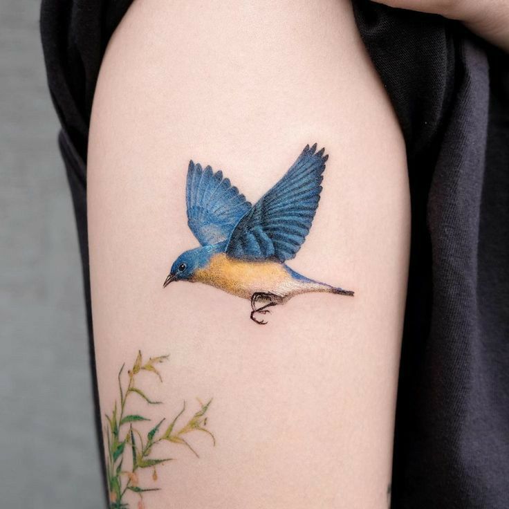 mẫu tattoo chú chim đậu cành cây