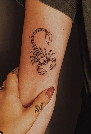 mẫu tattoo con bọ cạp ở bắp tay