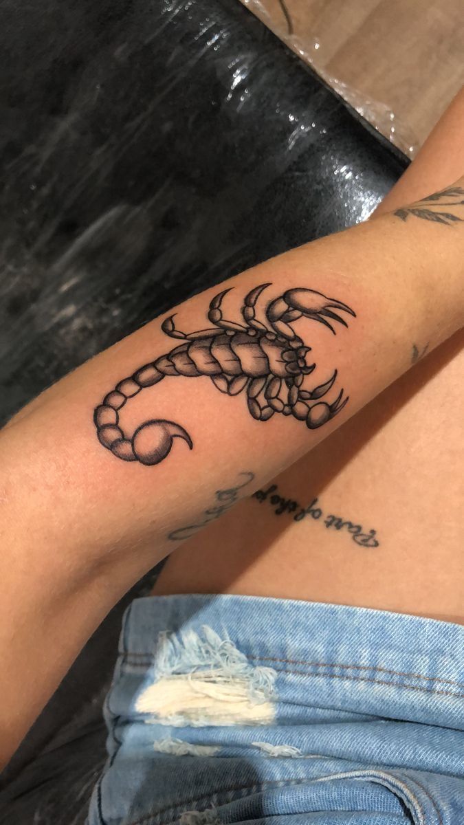 mẫu tattoo con bọ cạp ở cẳng tay