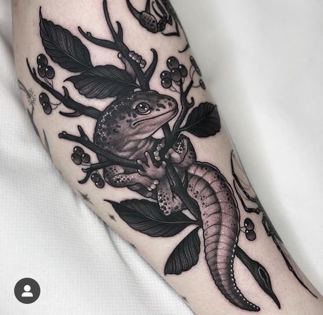 mẫu tattoo con ếch độc đáo ở tay
