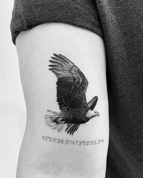 mẫu tattoo đại bàng trên bắp tay cực ý nghĩa