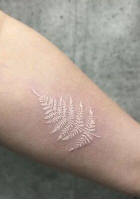 mẫu tattoo lá dương xỉ bằng mực trắng