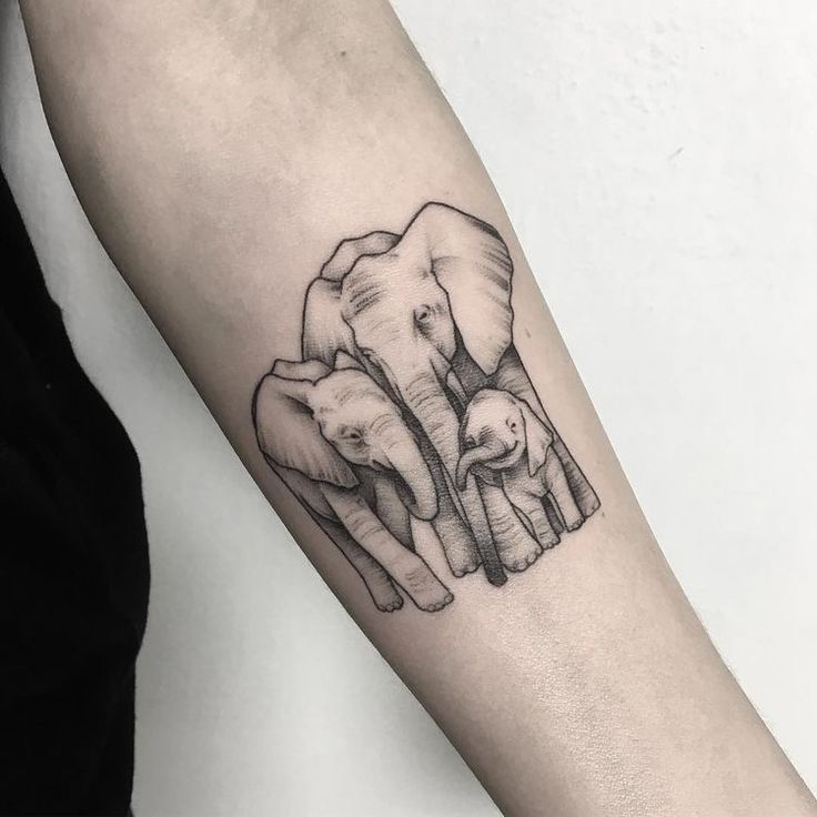 mẫu tattoo voi đề cao tình cảm đình