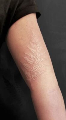 nghệ thuật tattoo lá dương xỉ trên bắp tay