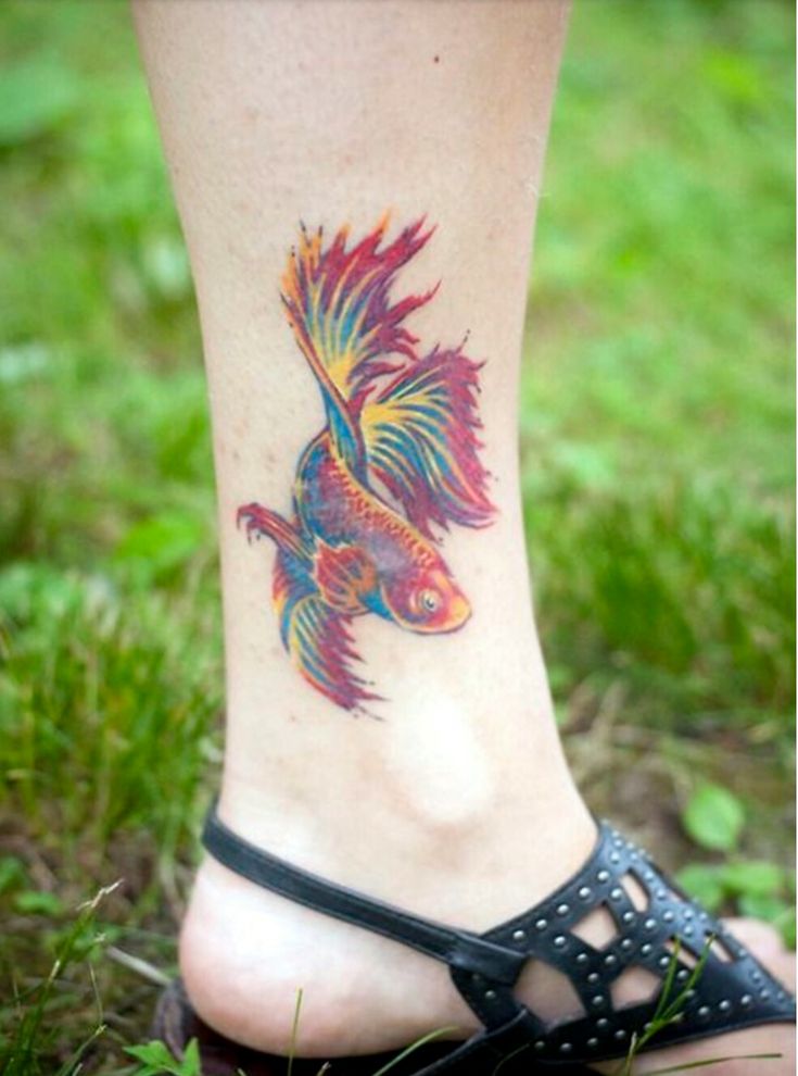 tattoo cá bảy màu cực chất