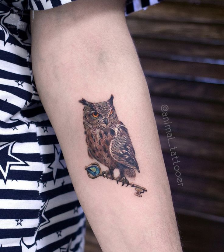 tattoo chim cú mèo ở cẳng tay