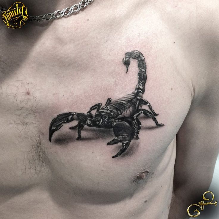 tattoo con bọ cạp ở trước ngực