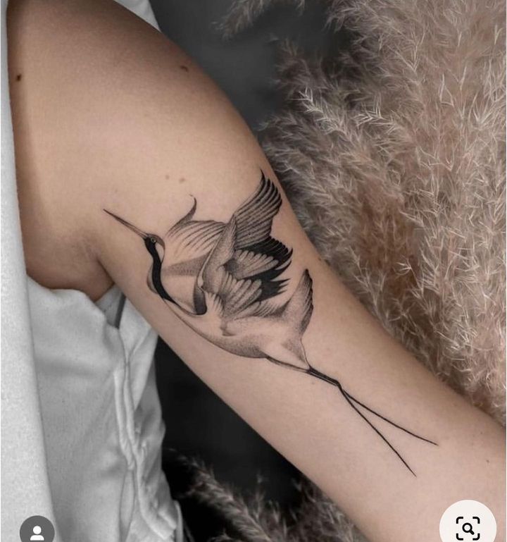 tattoo con hạc ở bắp tay